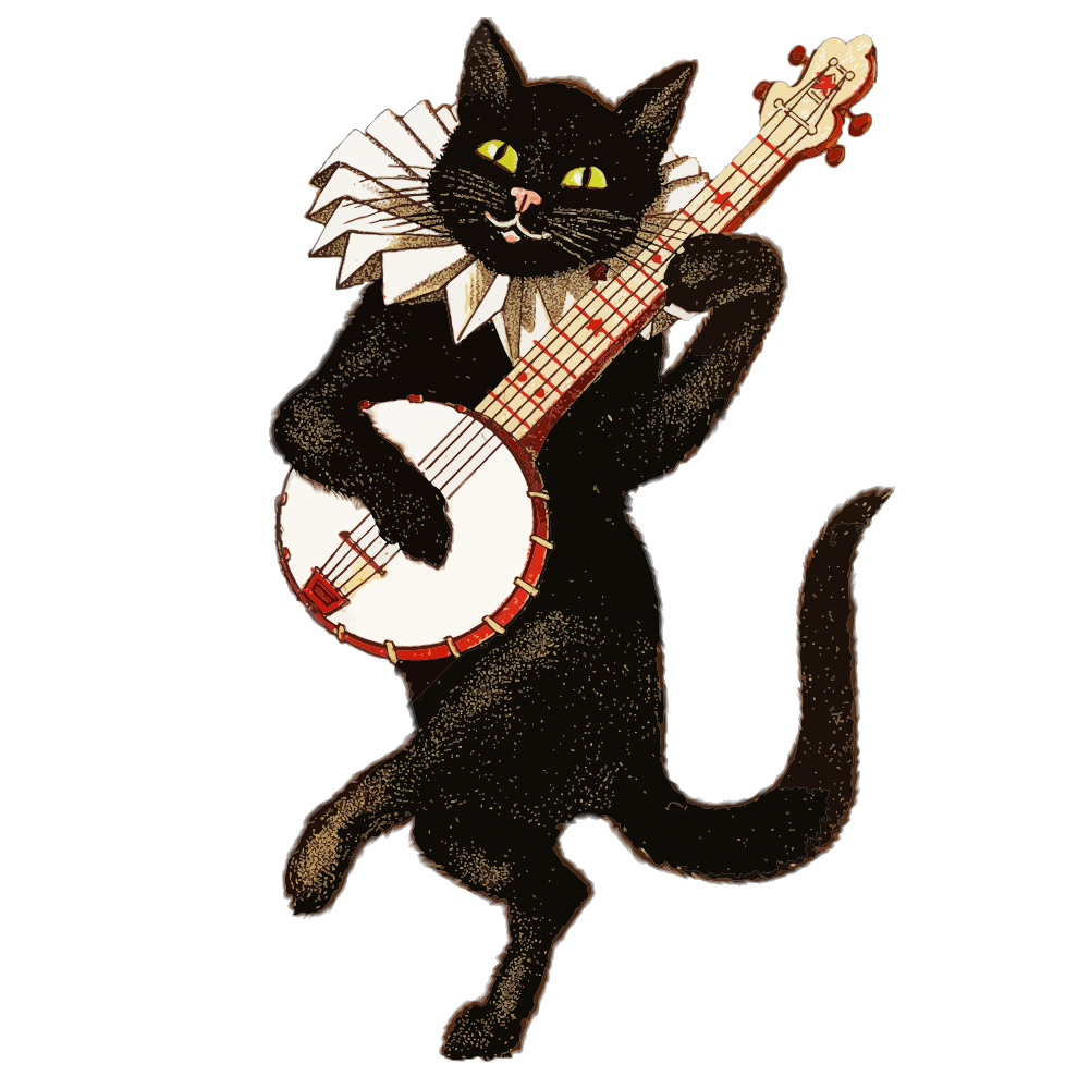 Dancing cat